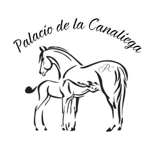Logo cliente